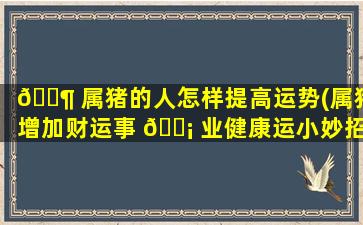 🐶 属猪的人怎样提高运势(属猪增加财运事 🐡 业健康运小妙招)